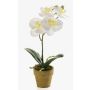 Artificial Phalaenopsis orchid SETH in decorative pot, cream, 10"/25cm
