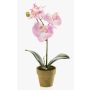 Artificial Phalaenopsis orchid SETH in decorative pot, light pink, 10"/25cm