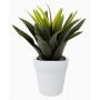 Plastic agave SEDA in ceramic pot, green, 10"/25cm, Ø10"/25cm