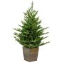 Artificial fir tree CARDIFF, wooden pot, LEDs, 35"/90cm, Ø30"/75cm