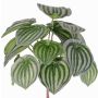 Artificial peperomia ALARA on spike, green, 10"/25cm