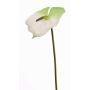 Fake flamingo flower MOIRA, white-green, 30"/75cm, 5.1"x8"/13x20cm