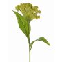 Artificial cockscomb ANUBIS, green-yellow, 24"/60cm, Ø5.1"/13cm