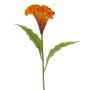 Artificial cockscomb ANUBIS, orange, 24"/60cm, Ø5.1"/13cm
