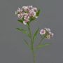 Artificial sweet william ARCHIE, cream-pink, 24"/60cm, Ø2.8"-6"/7-16cm