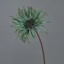Artificial gerbera SIEDA, blue-green, 26"/65cm, Ø4"/10cm