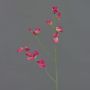 Artificial flower lathyrus ASFALOTH, pink, 26"/65cm