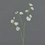 Artificial flower lathyrus ASFALOTH, white, 26"/65cm