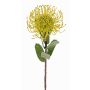 Artificial protea BAILY, yellow-green, 22"/55cm, Ø3.9"/10cm