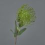 Artificial protea BAILY, green, 20"/50cm, Ø4.7"/12cm