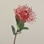 Artificial protea BAILY, red, 20"/50cm, Ø4.7"/12cm