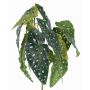 Artificial polka dot begonia HANSE on spike, green-white, 16"/40cm