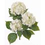 Artificial hydrangea SAIRA, spike, crossdoor, cream, 16"/40cm, Ø4.3"-5.1"/11-13cm