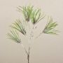 Artificial Pine Branch PEER, frosted, green-grey, 31"/80cm