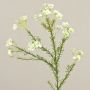 Artificial wax flower AISHA, cream-white, 26"/65cm
