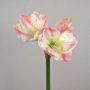 Artificial amaryllis YOLANTE, pink-white, 28"/70cm, Ø9"/23cm
