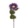 Velvet sunflower MAHEALANI, dark purple-gold, 30"/75cm
