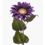 Velvet sunflower MAHEALANI, dark purple-gold, 30"/75cm
