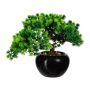 Decorative tree Larch bonsai DALUP in ceramic pot, roots, 10"/26cm