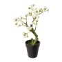 Artificial tree Almond bonsai tree OYOS in decorative pot, with flowers, white, 10"/26cm