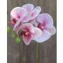 Artificial Phalaenopsis orchid spray OPHELIA, light pink-pink, 16"/40cm