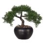 Artificial tree Cedar bonsai tree FALKE with roots, ceramic pot, 10"/26cm