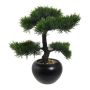 Artificial tree Cedar bonsai tree FALKE, ceramic pot, 14"/35cm