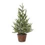 Decorative tree Spruce MALKE in decorative pot, snow-covered, 22"/55cm