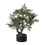 Artificial tree Araucaria bonsai LONSA in decorative pot, 30"/75cm