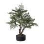 Artificial tree Araucaria bonsai LONSA in decorative pot, 3ft/100cm