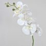 Artificial Phalaenopsis orchid spray OPHELIA, white, 31"/80cm