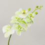 Artificial Phalaenopsis orchid spray OPHELIA, green-pink, 31"/80cm