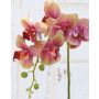 Artificial Phalaenopsis orchid spray OPHELIA, pink-green, 31"/80cm