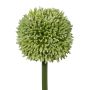 Decorative flower Allium MENKES, green, 26"/65cm