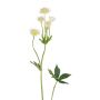 Decorative branch, star-shaped umbel, GRUHEN, white-cream, 65cm