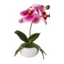 Plastic flower Phalaenopsis orchid KASDA, ceramic bowl, roots, fuchsia, 11"/27cm