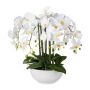 Plastic flower Phalaenopsis orchid KASDA, ceramic bowl, roots, white, 22"/55cm