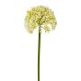 Decorative flower Allium FERKU, cream, 14"/35cm