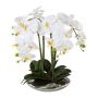 Artificial Phalaenopsis orchid MANULO, silvery ceramic bowl, roots, white, 16"/40cm