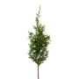 Artificial branch Juniper VOSTER with berries, grey-green, 12"/30cm
