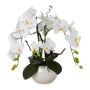 Artificial arrangement of orchid and corkscrew willow LULUDI, white ceramic pot, roots, white, 22"/55cm