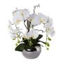Artificial arrangement of orchid and corkscrew willow LULUDI, silver ceramic pot, roots, white, 22"/55cm