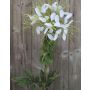 Artificial spider flower HILDEGARD, white, 33"/85cm