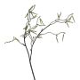 Decorative branch Birch FLOREM with flowers, cream, 22"/55cm