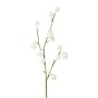 Artificial branch Gomphocarpus physocarpus BRAVON, with fruits, white, 31"/80cm