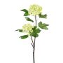 Decorative branch Viburnum SNALMO, light green, 20"/50cm