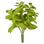 Decorative basil KRITIKA on a stick, green, 11"/28cm