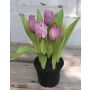 Artificial flower tulip LEANA in decorative pot, purple-green, 8"/20cm, Ø0.8"-1.6"/2-4cm