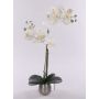 Artificial Phalaenopsis orchid KAREN, decorative pot, frosted, white, 20"/50cm