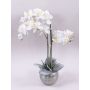 Artificial Phalaenopsis orchid KAREN, decorative pot, frosted, white, 24"/60cm